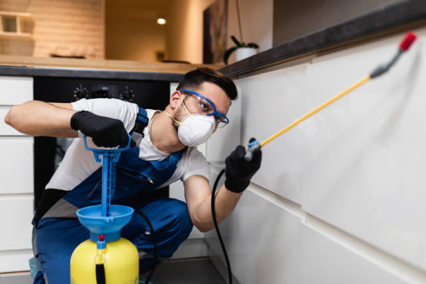 Reliable Leupp, AZ Pest Control Solutions