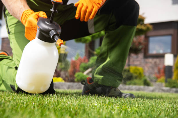 Best Best Pest Control Companies  in Leupp, AZ