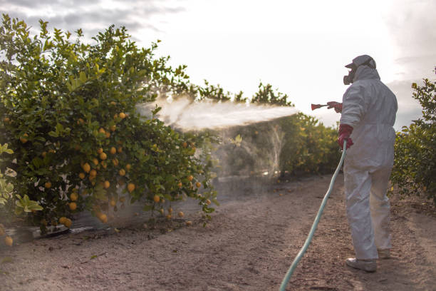 Best Exterminator Services  in Leupp, AZ