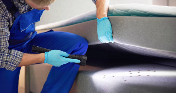 Best Pest Prevention Services  in Leupp, AZ